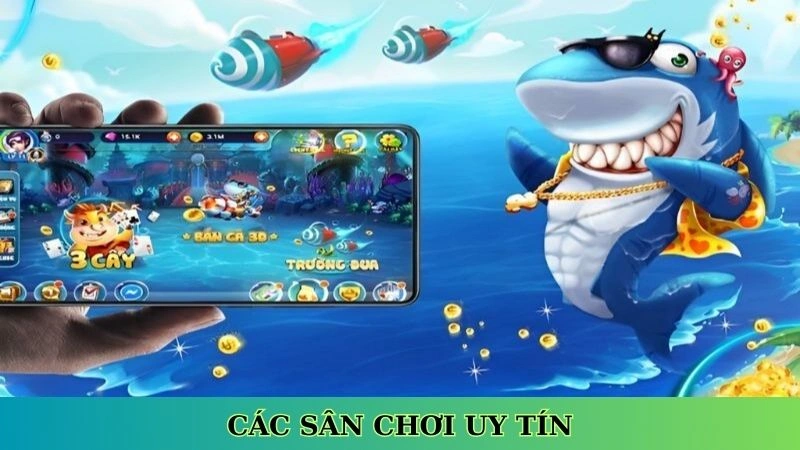 Các sân chơi uy tín Các sân chơi uy tín