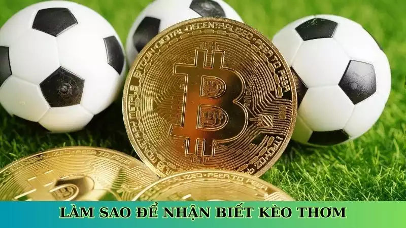 Làm sao để nhận biết kèo thơm Làm sao để nhận biết kèo thơm