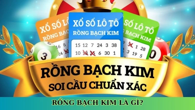 Rồng bạch kim là gì? Rồng bạch kim là gì?