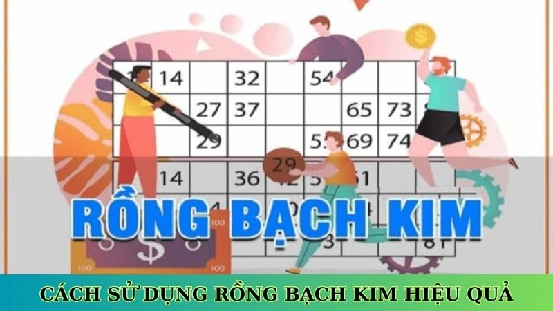 Cách sử dụng rồng bạch kim hiệu quả Cách sử dụng rồng bạch kim hiệu quả