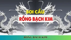 Rồng bạch kim