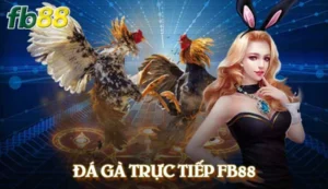 đá gà trực tiếp Fb88